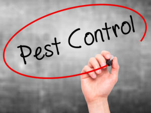 local residential pest control